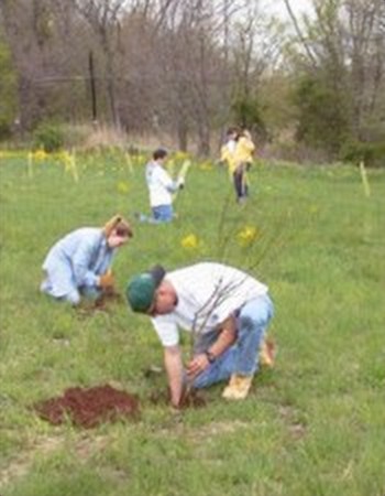 Volunteers planting trees on a reforestation project